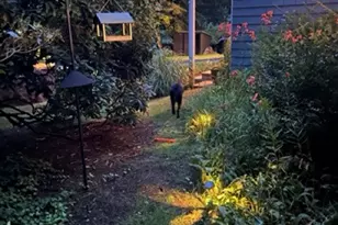 38 Langworthy Rd, Westerly, RI 02891 - Photo 14