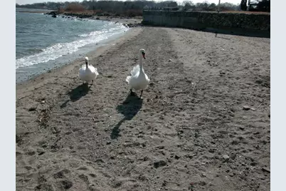 00 Grove Avenue, Warwick, RI 02889 - Photo 20