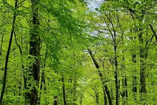 235 Reservoir Rd, Smithfield, RI 02859 - Photo 12