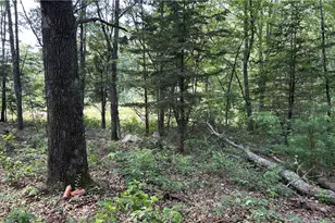 12 Fallon Trail, Westerly, RI 02891 - Photo 1