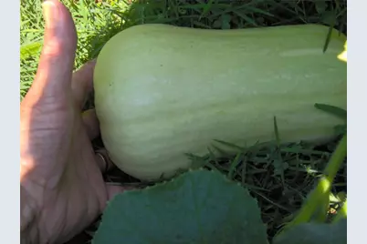 274 Albion Road, Lincoln, RI 02865 - Photo 18