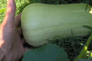 274 Albion Rd, Lincoln, RI 02865 - Photo 18