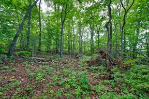 896 Main Rd, Tiverton, RI 02878 - Photo 14