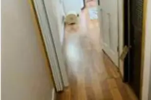 245 Manton St, Pawtucket, RI 02861 - Photo 4