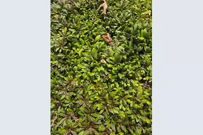 7 Taylor Road, Johnston, RI 02919 - Photo 44