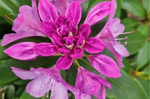 7 Taylor Rd, Johnston, RI 02919 - Photo 46