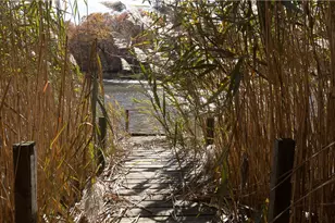 199 Cottage Grove Ave, Warwick, RI 02889 - Photo 4