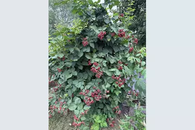 285 School Street, Lincoln, RI 02865 - Photo 44