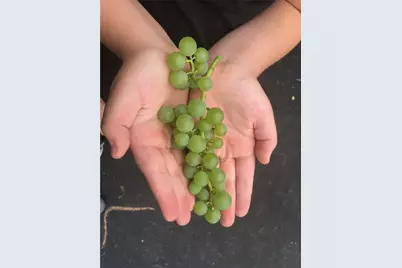 285 School Street, Lincoln, RI 02865 - Photo 42