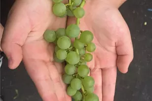 285 School St, Lincoln, RI 02865 - Photo 42