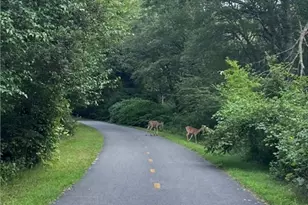 55 Pine Hill Rd, South Kingstown, RI 02879 - Photo 40