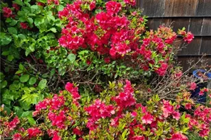 154 Essex Rd, North Kingstown, RI 02852 - Photo 10