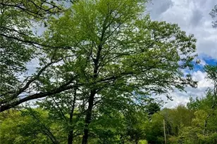 223 Reservoir Rd, Smithfield, RI 02859 - Photo 12