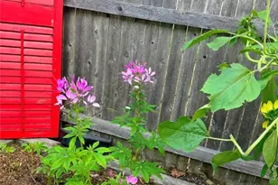 52 Inez Ave, Warwick, RI 02886 - Photo 38