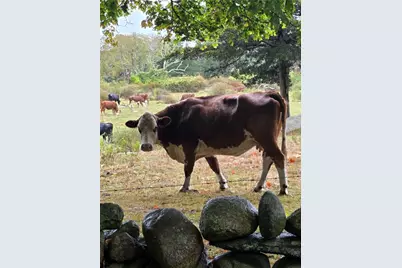 380 Camp Fuller Road, South Kingstown, RI 02879 - Photo 50