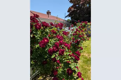 25 Trieste Street, Pawtucket, RI 02860 - Photo 26