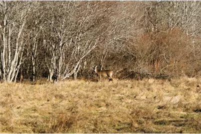 46 Simmons Road #A, Little Compton, RI 02837 - Photo 26