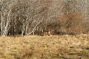 46 Simmons Rd, Little Compton, RI 02837 - Photo 26