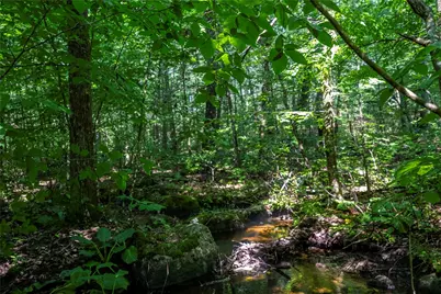 0 East Shore Drive, Exeter, RI 02822 - Photo 16