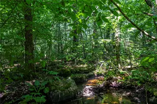 0 E Shore Dr, Exeter, RI 02822 - Photo 16