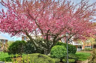 43 Bullocks Point Ave, East Providence, RI 02915 - Photo 20