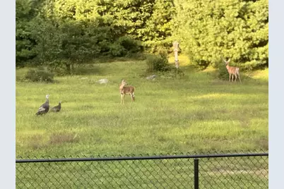 94 Susan Bowen Road, Coventry, RI 02827 - Photo 44