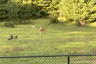 94 Susan Bowen Rd, Coventry, RI 02827 - Photo 44