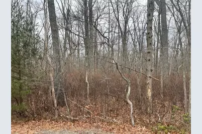 0 Wallum Lake Road, Burrillville, RI 02859 - Photo 1