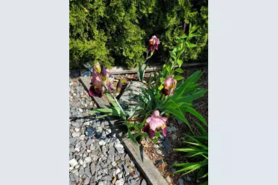 39 Holiday Avenue, Warwick, RI 02888 - Photo 32