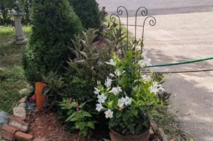 22 Stillman Ave, Pawcatuck, CT 06379 - Photo 24