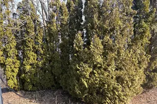 351 County Rd, Barrington, RI 02806 - Photo 16