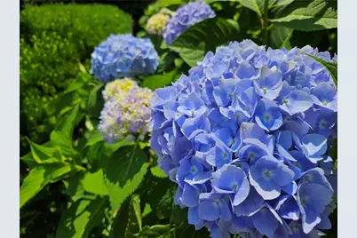 57 Delway Road, Cranston, RI 02910 - Photo 24