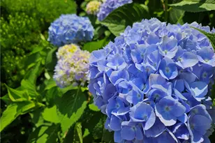 57 Delway Rd, Cranston, RI 02910 - Photo 24