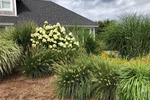 611 Wolcott Ave, Middletown, RI 02842 - Photo 24