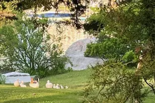 245 Cove Point Rd, Charlestown, RI 02813 - Photo 2