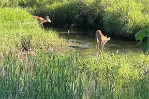 11 Heights Ave, Warwick, RI 02889 - Photo 42