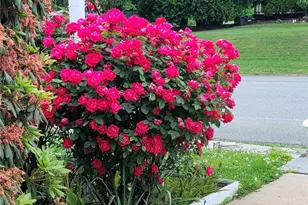 87 Lincoln Park Ave, Cranston, RI 02920 - Photo 16