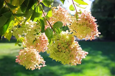 66 Webster Street #1, Newport, RI 02840 - Photo 40