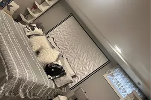 18 Dunnell Ave, Pawtucket, RI 02860 - Photo 20