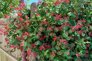 22 Grassy Plain Rd, East Providence, RI 02915 - Photo 36