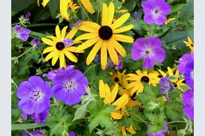 22 Grassy Plain Road, East Providence, RI 02915 - Photo 32