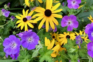 22 Grassy Plain Rd, East Providence, RI 02915 - Photo 32