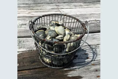 137 Cove Point East, Charlestown, RI 02813 - Photo 50