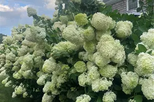 154 Lincoln Ave, Barrington, RI 02806 - Photo 40