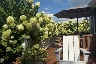 154 Lincoln Ave, Barrington, RI 02806 - Photo 38