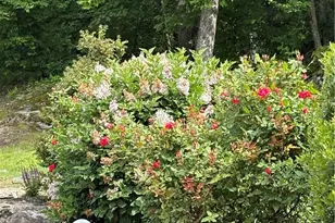 33 Abatecola Wy, Johnston, RI 02919 - Photo 50