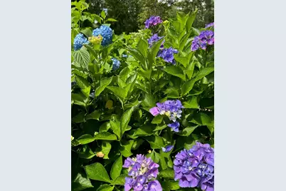 147 Francis Horn Drive, South Kingstown, RI 02881 - Photo 36