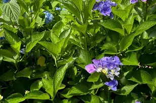 147 Francis Horn Dr, South Kingstown, RI 02881 - Photo 36