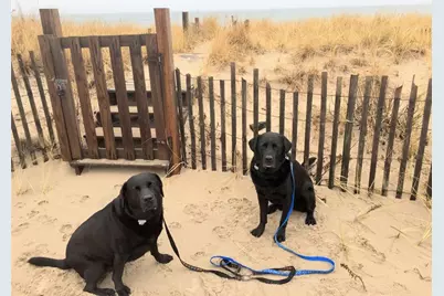 77 Pond Shore Drive, Charlestown, RI 02813 - Photo 48