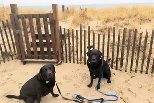 77 Pond Shore Dr, Charlestown, RI 02813 - Photo 48